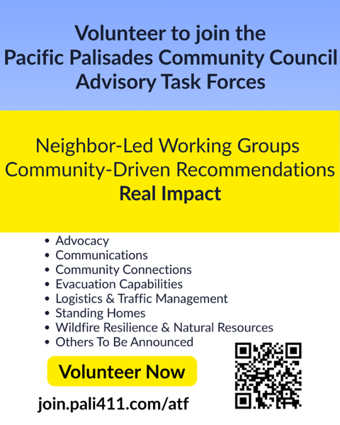 ATF Application Flyer (2).png