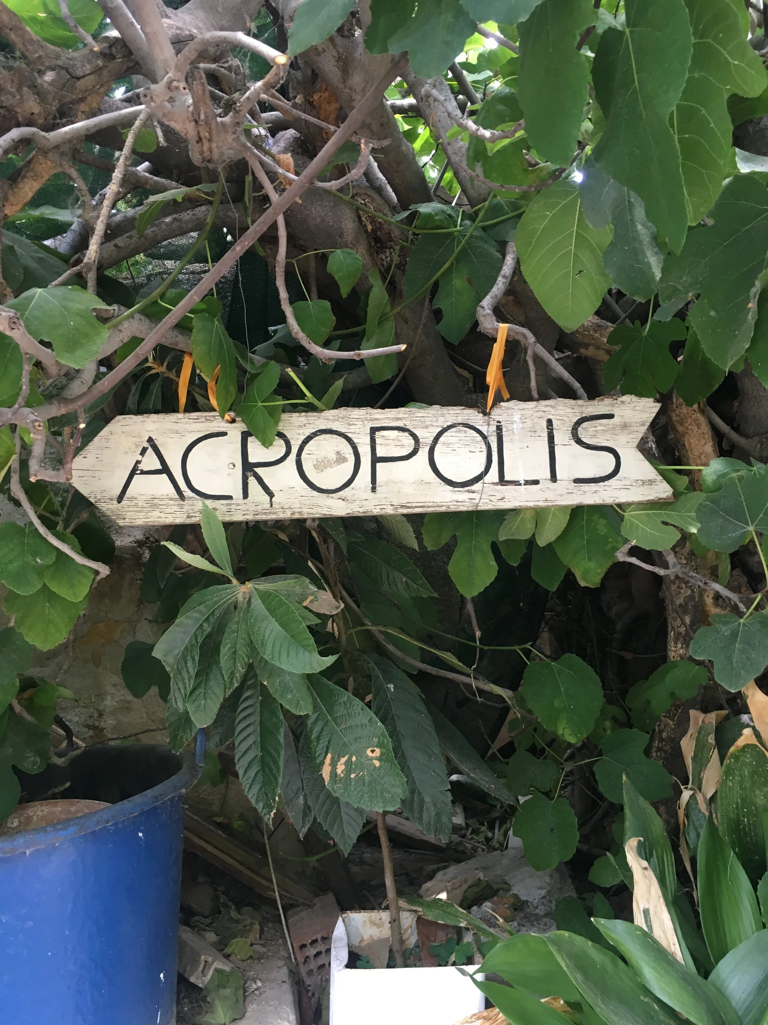 Looking for the Acropolis in Athens 