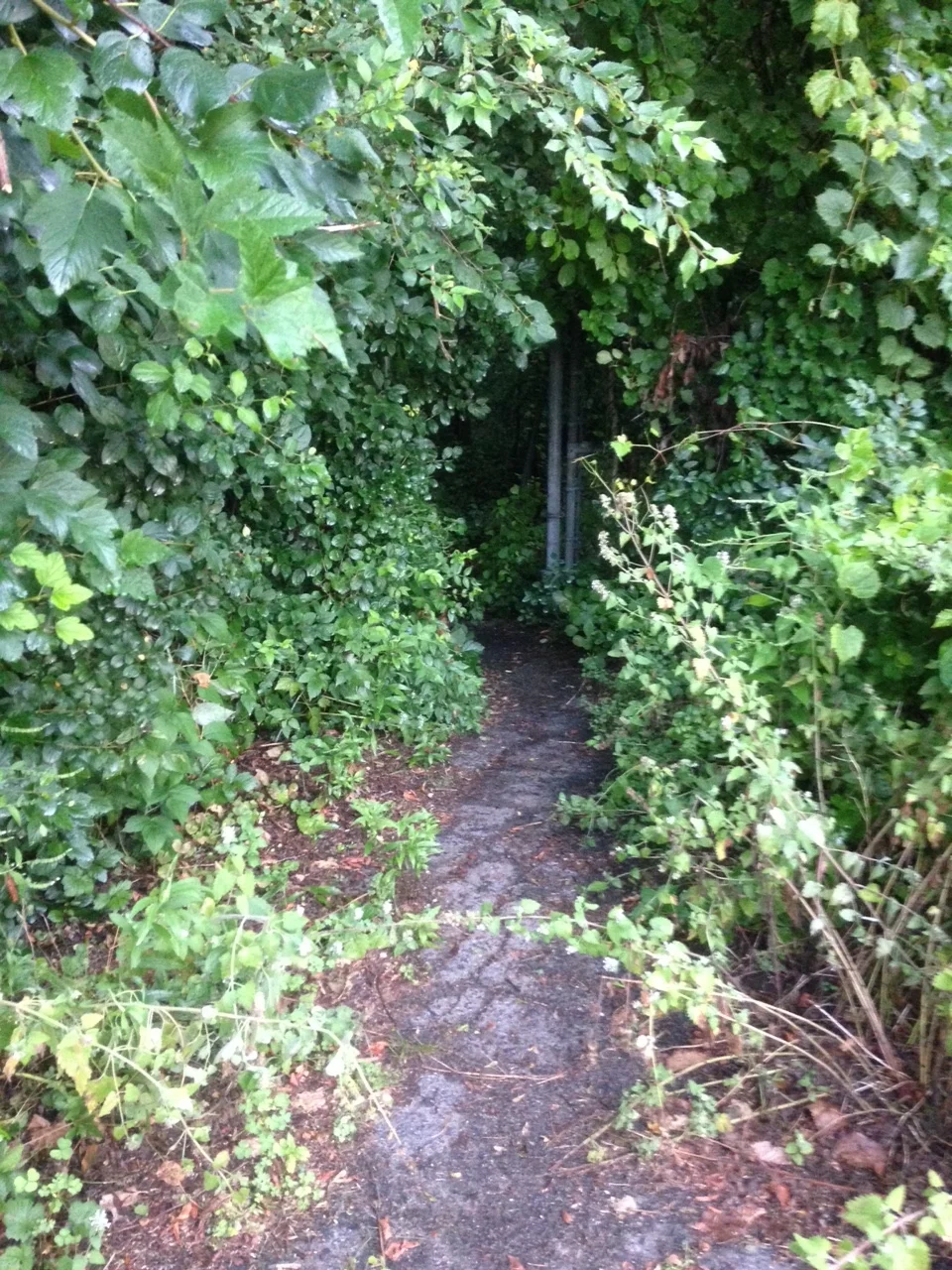 This is the secret passageway to the lake walk