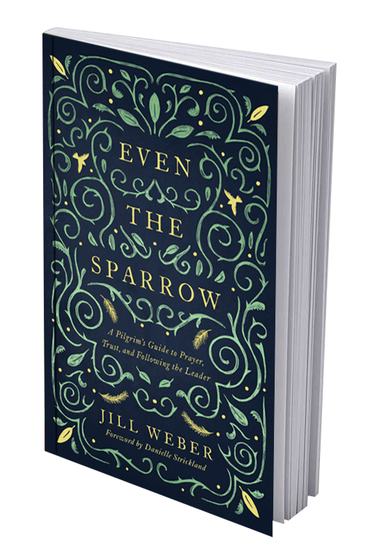 EvenTheSparrow_JillWeber.png