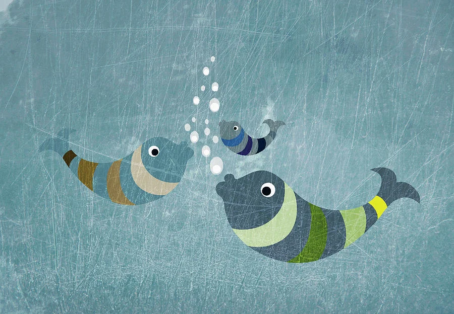 The Fish With Fresh Eyes