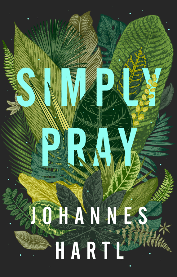 What I Like About "Simply Pray" by Johannes Hartl