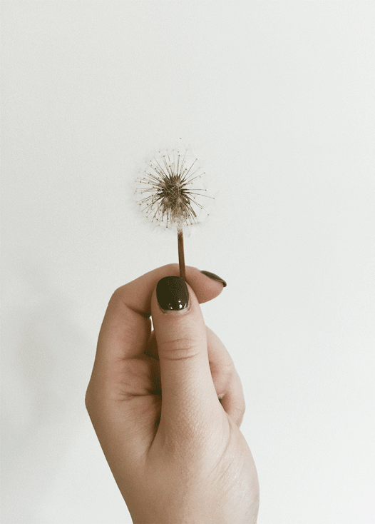 megan-savoie-LrZr7EUPSns-unsplash.png