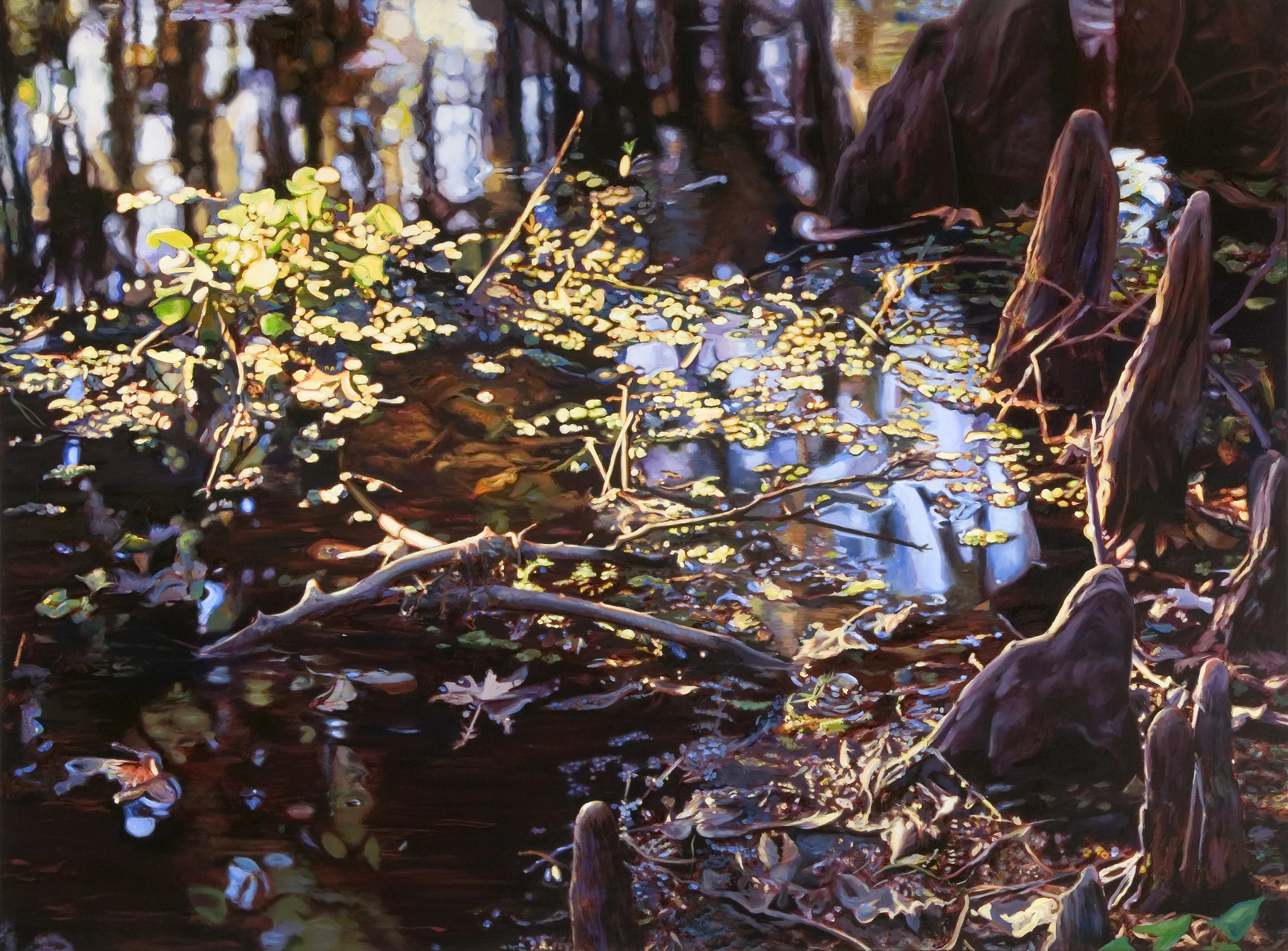 Cypress Reflections , oil over acrylic, 40” x 54”, 2004
