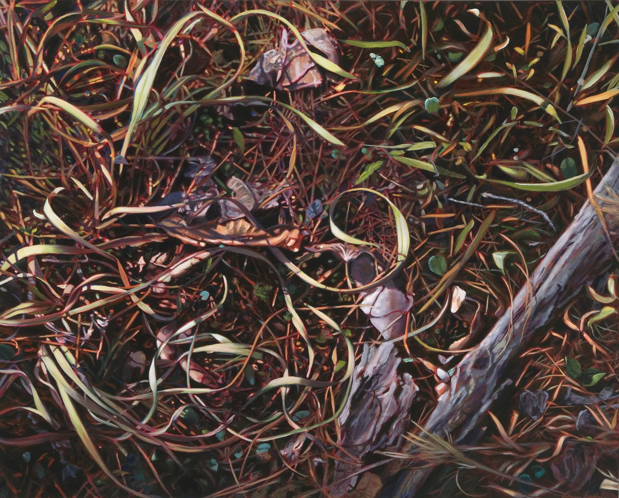 Forest Floor , oil over acrylic, 48" x 60", 2007