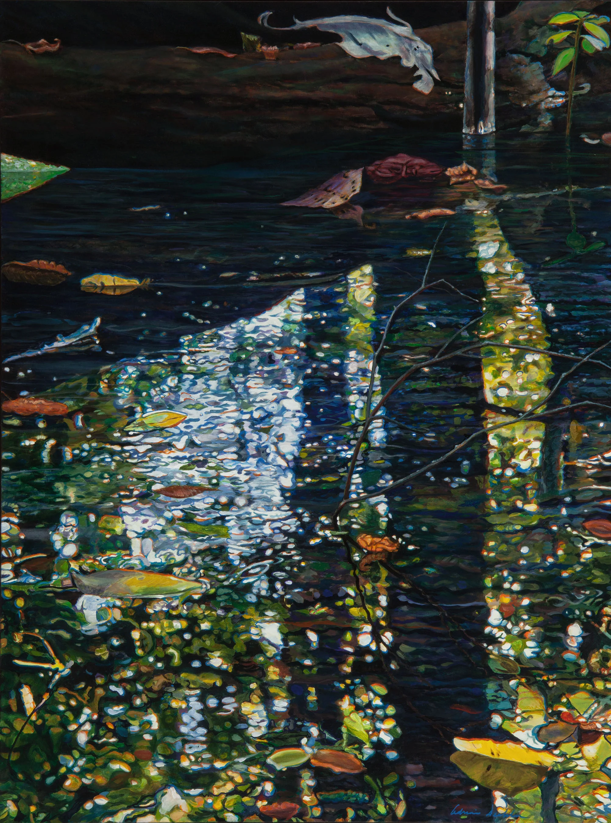The Depth: Reflected , acrylic, 48” x 36”, 2011