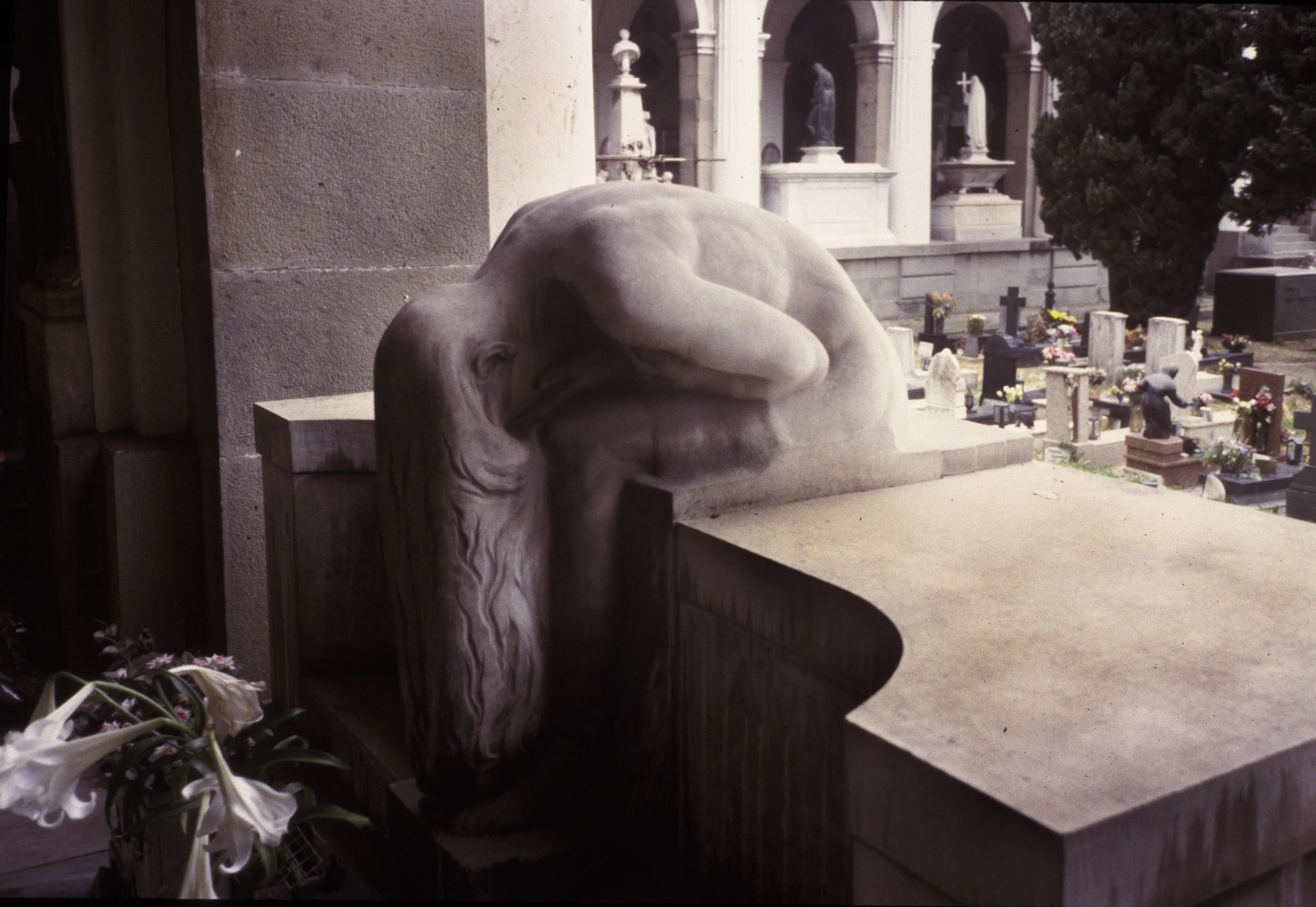 Staliegno Genoa IX , photograph, 24” x 36”