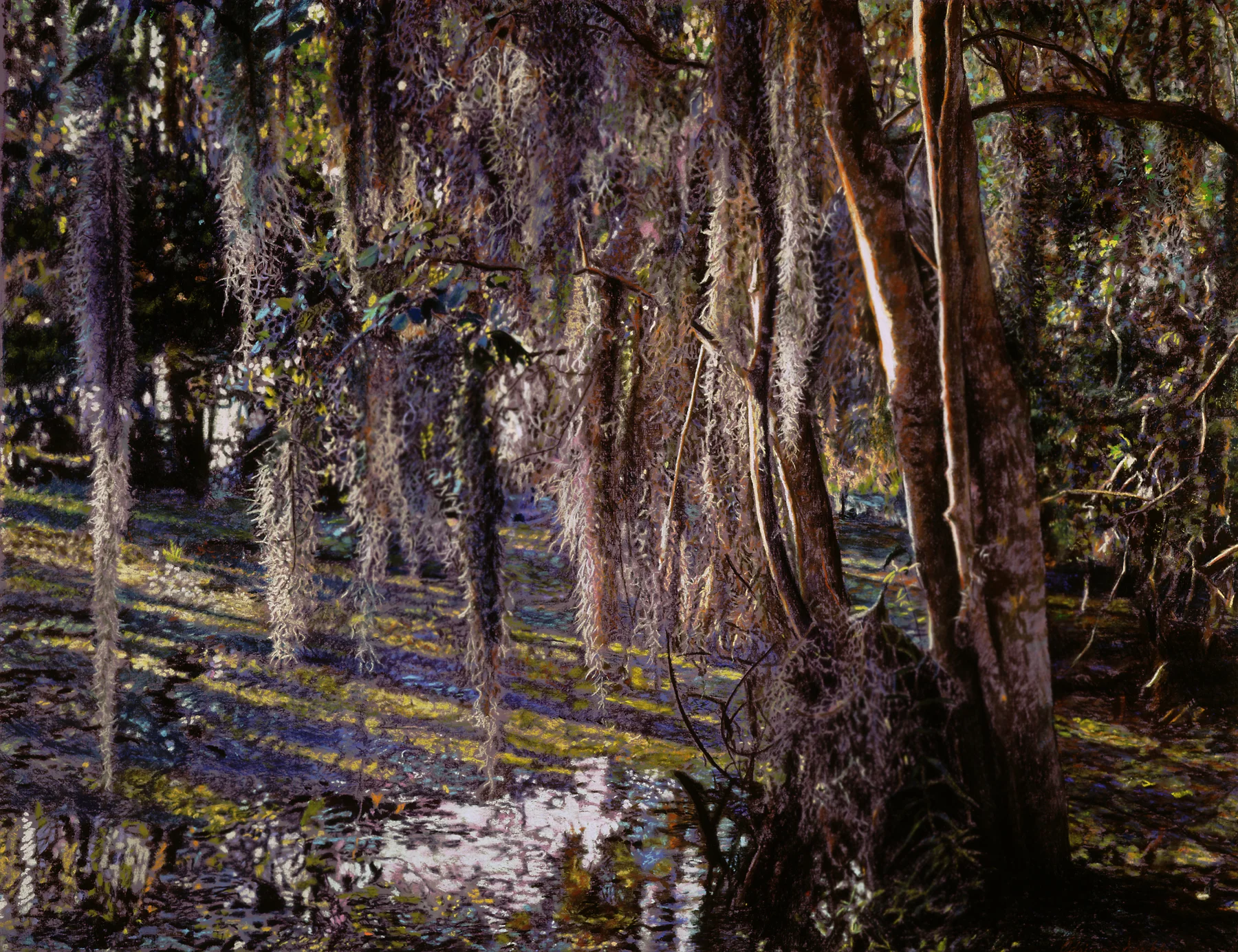Swamp Moss , limited edition print, 23” x 33”, ed. 275, 2000