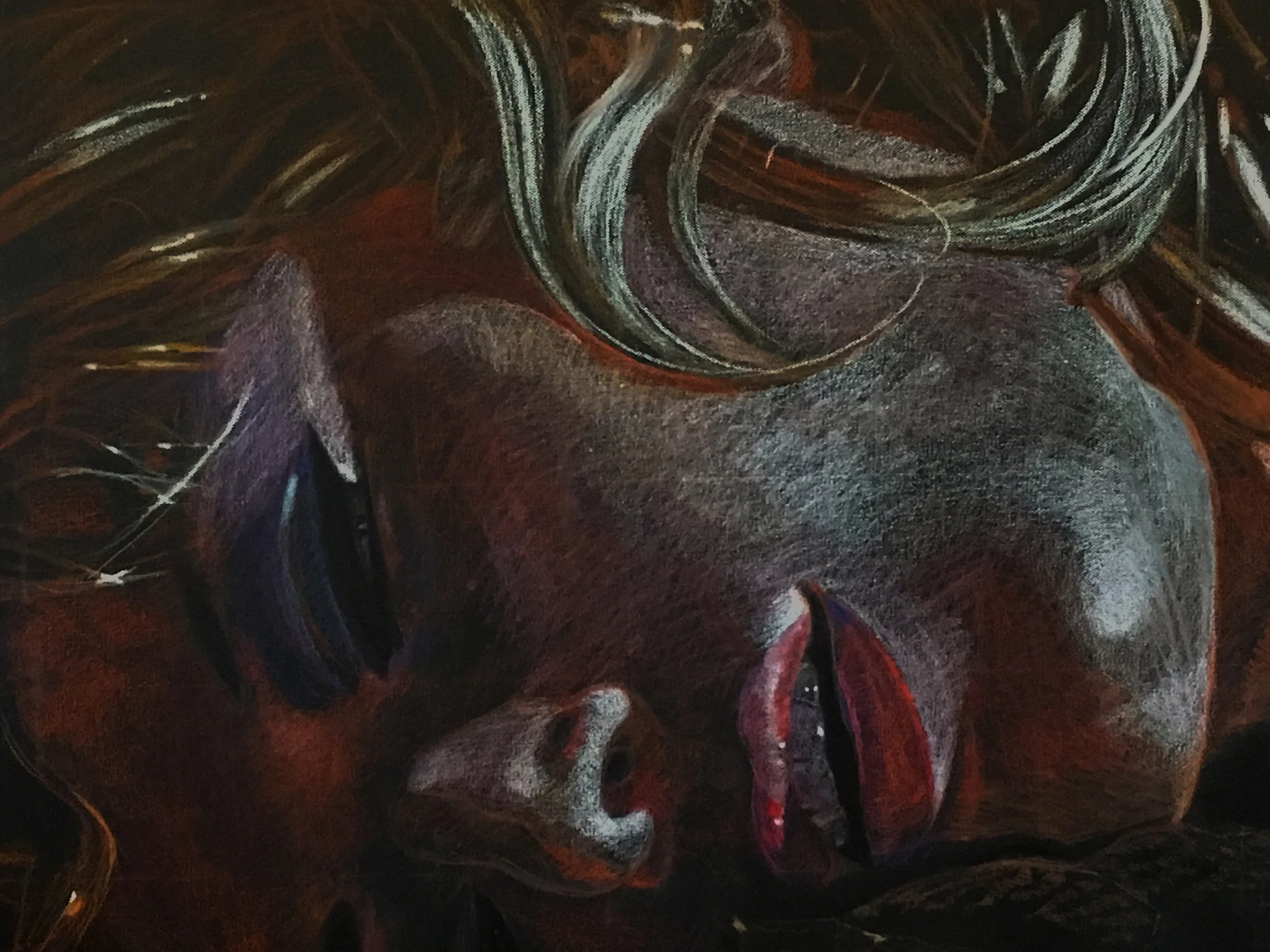 MM: Detail Study , pastel pencil, 23” x 37”, 2019