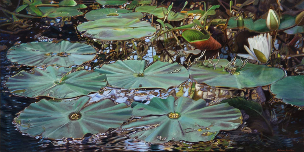 Transcendant Motion , acrylic, 36” x 72”, 2013