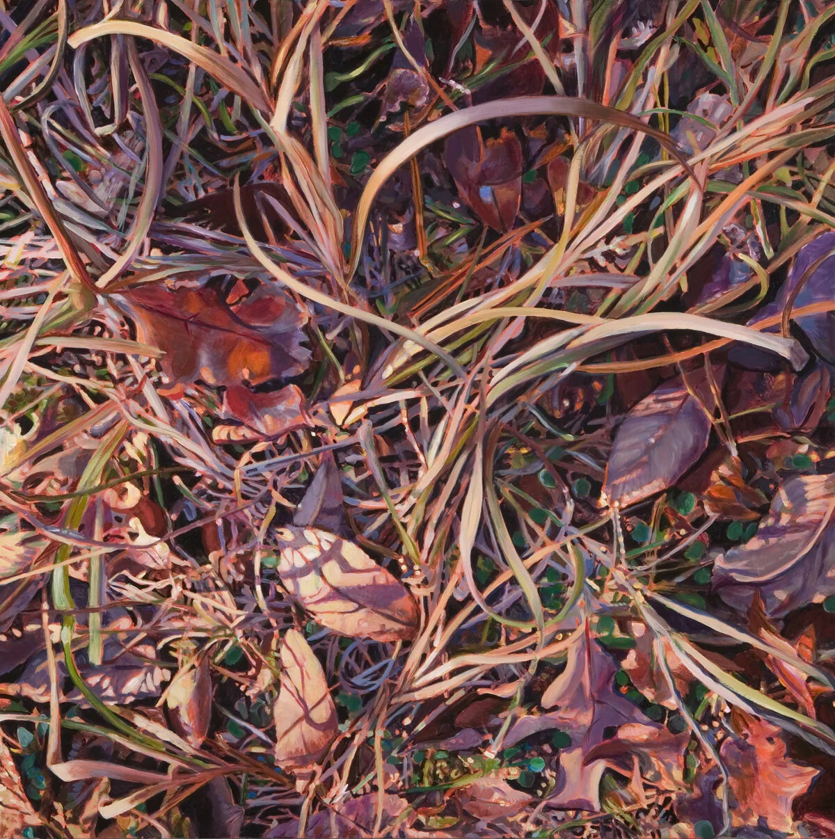 Winter Forest Floor II , oil, 30" x 30"