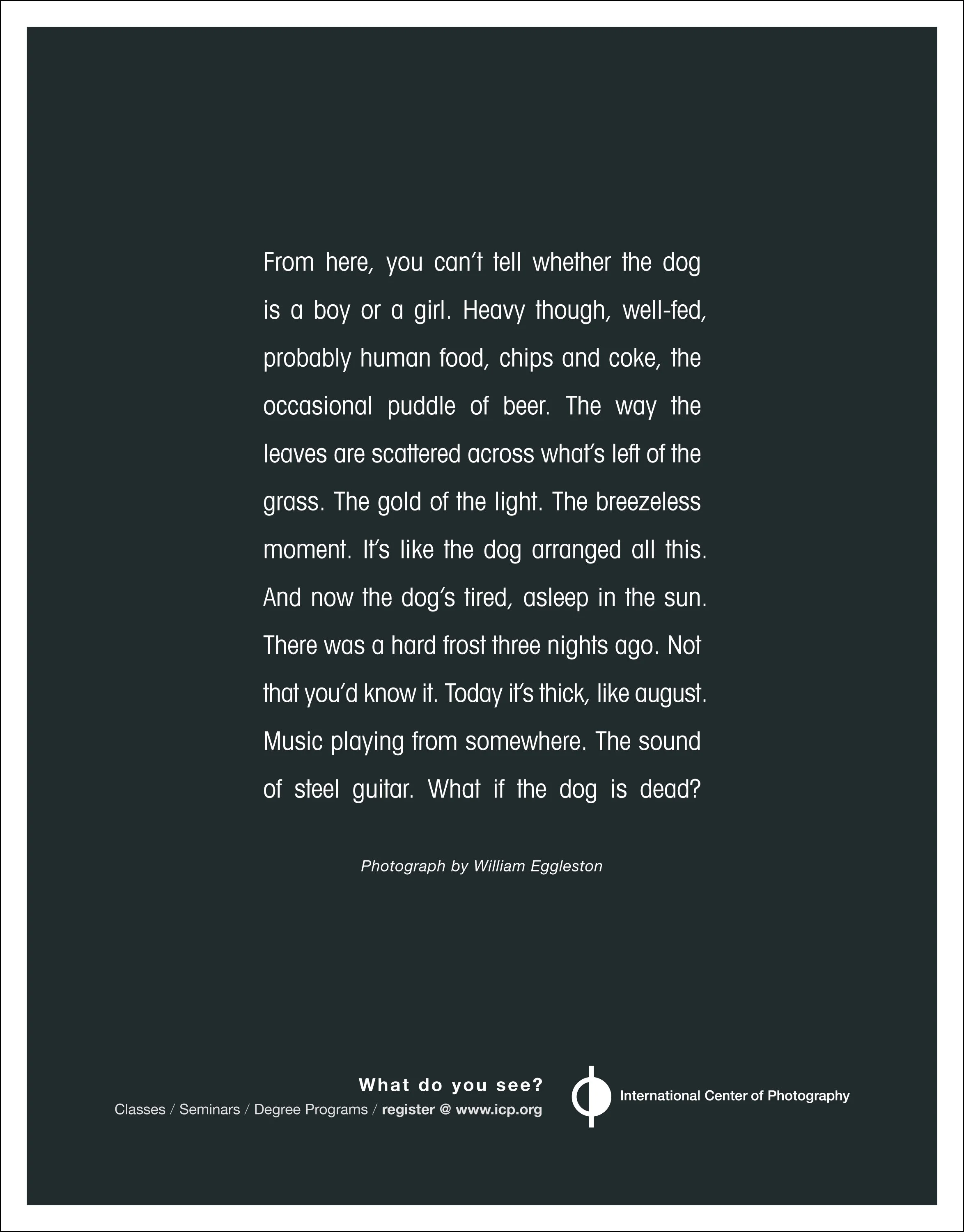 ICP Ads_Learn to See-2.jpg