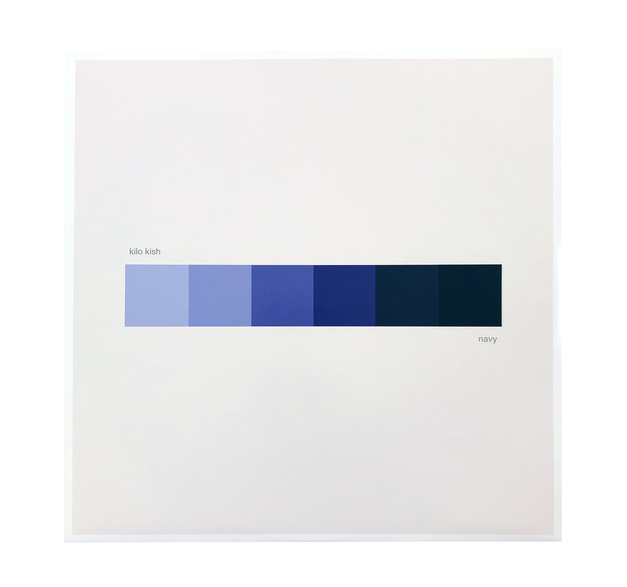 navy_VINYL.jpg