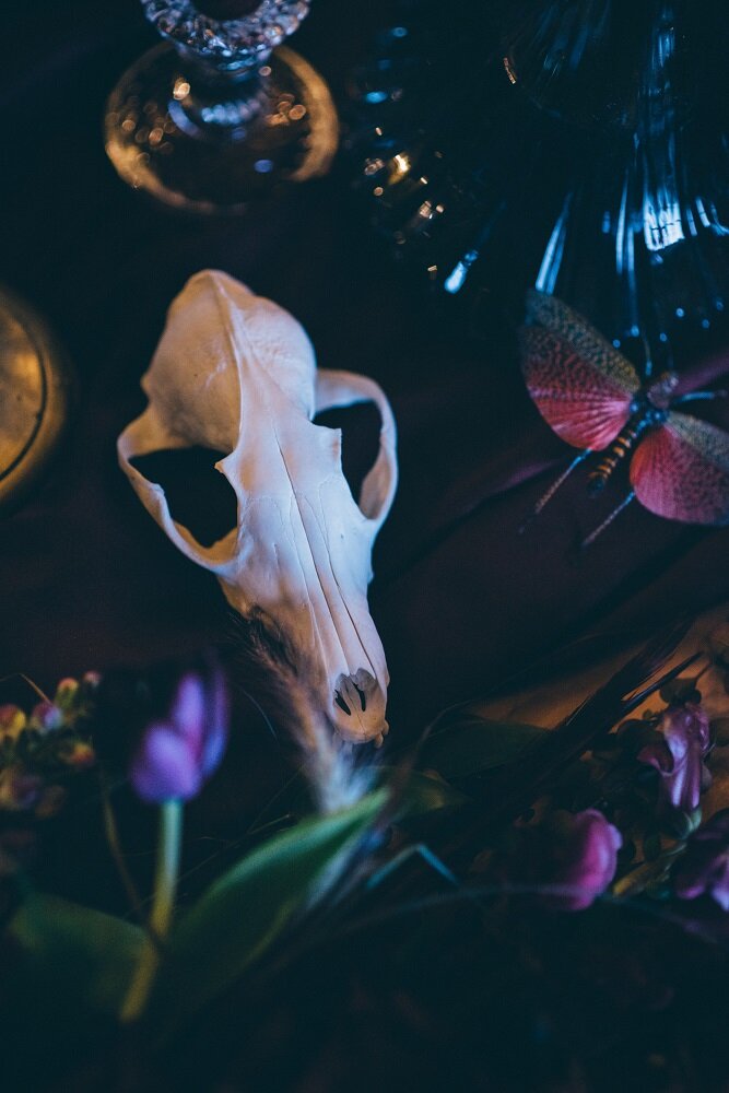 Legend Bridal Alexandra Holt photography Dead Things by Kate Winter Solstice wedding 22.jpg