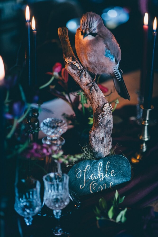 Legend Bridal Alexandra Holt photography Dead Things by Kate Winter Solstice wedding 7.jpg