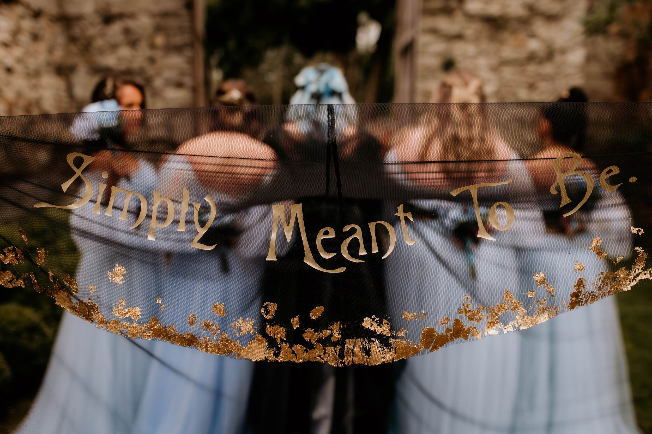 Legend Bridal Gothic Steampunk Wedding Portraits Simply Meant to Be veil.jpg