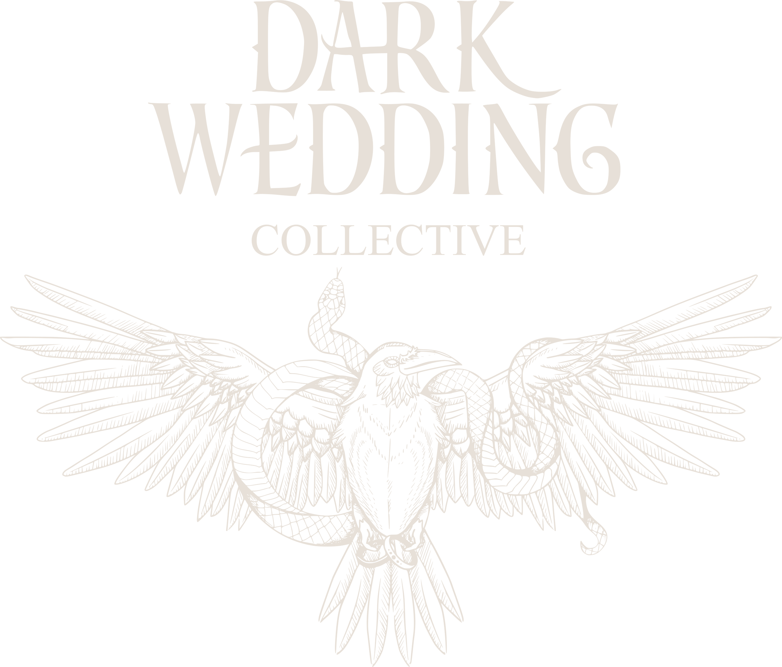 A black background with white text that reads "Dark Wedding Collective." An intricate white line drawing of a raven with detailed wings and snake entwined, and holding 2 wedding rings, positioned beneath the text.