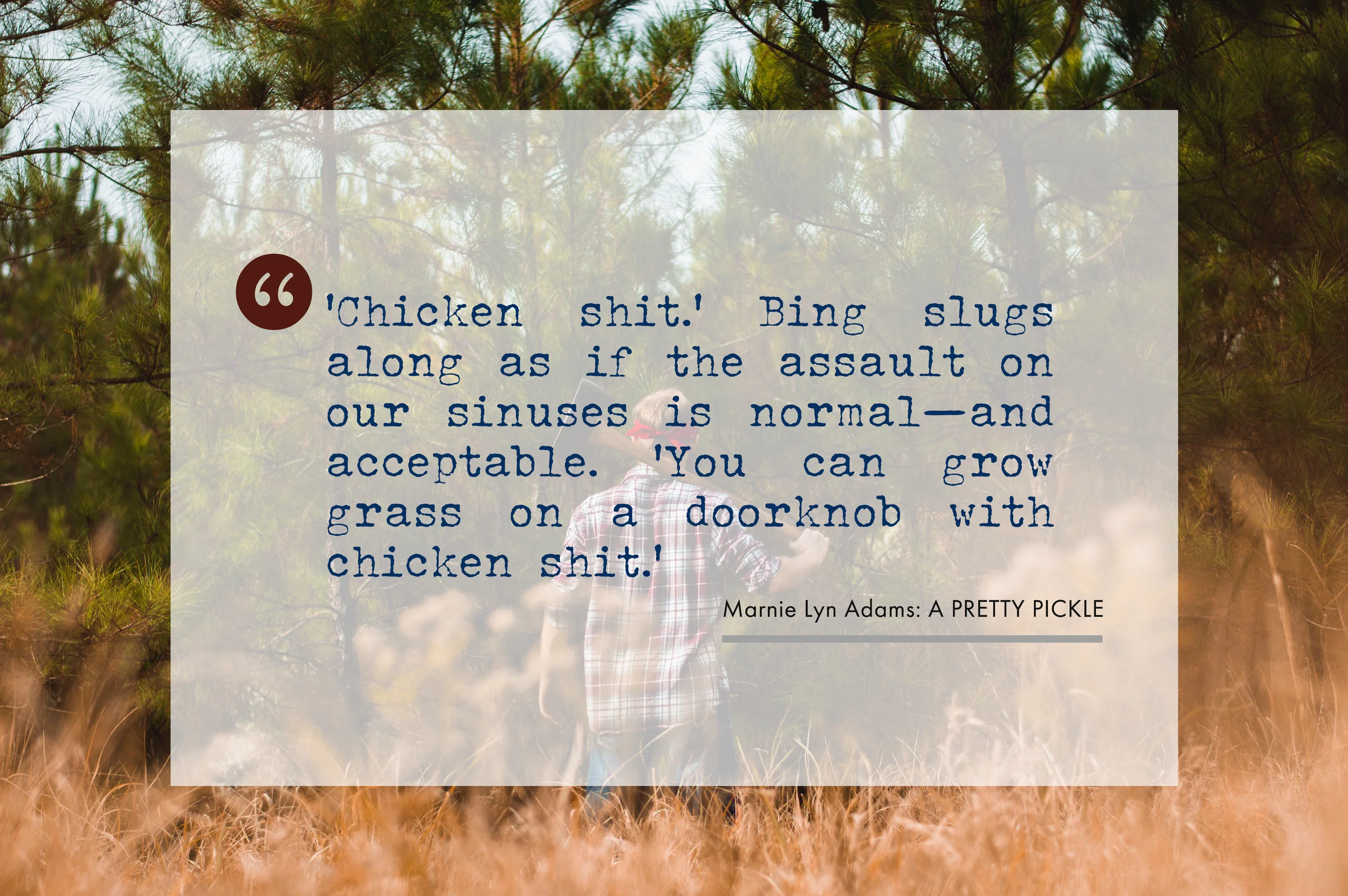 Bing_abby-savage-Rp39CeT076g-unsplash_Q.jpg