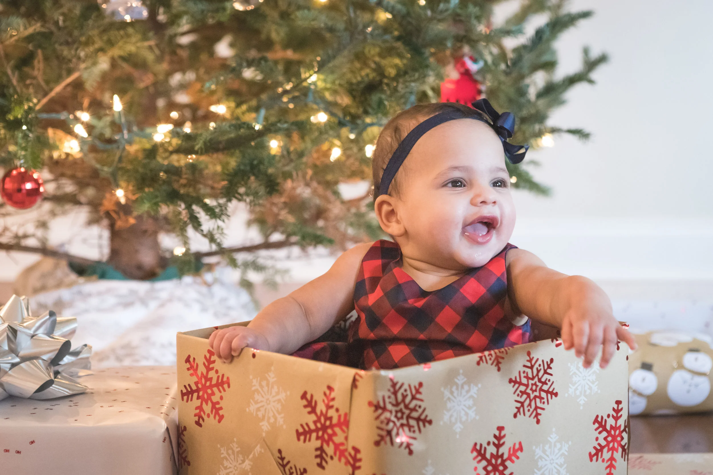 Millie Christmas-18.jpg