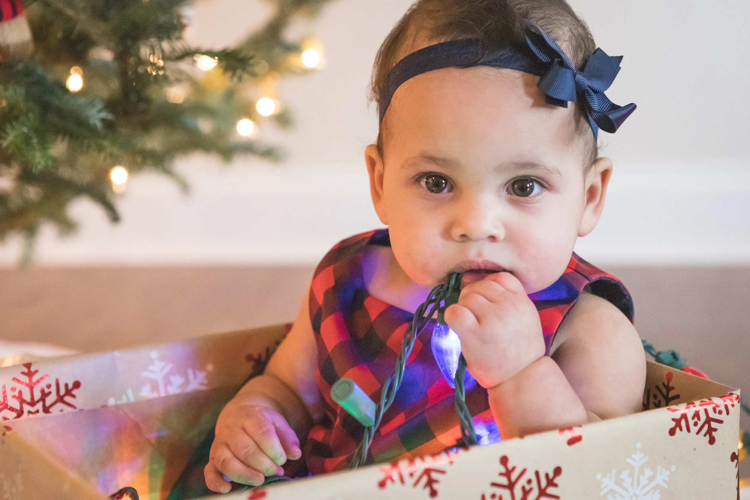 Millie Christmas-20.jpg