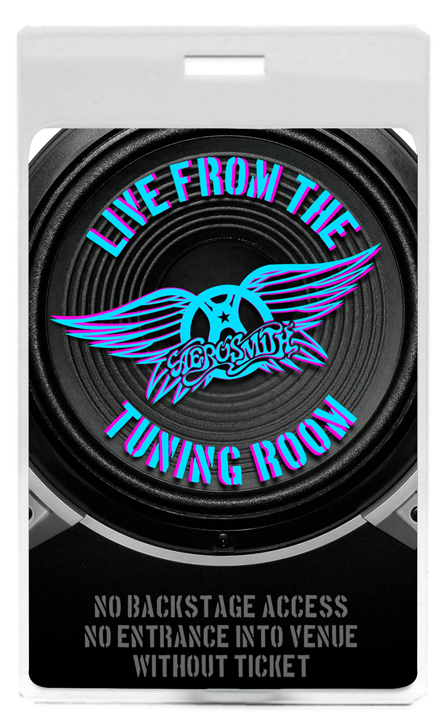 AEROSMITH R-01-LAM.jpg