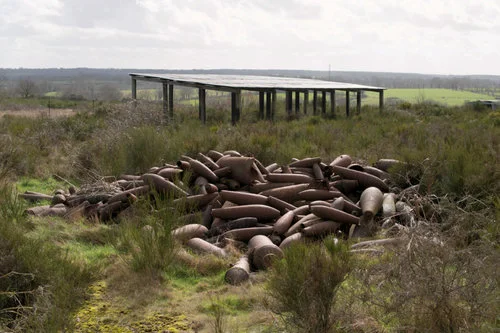 Unexploded shells stack - Verdun Red Zone
