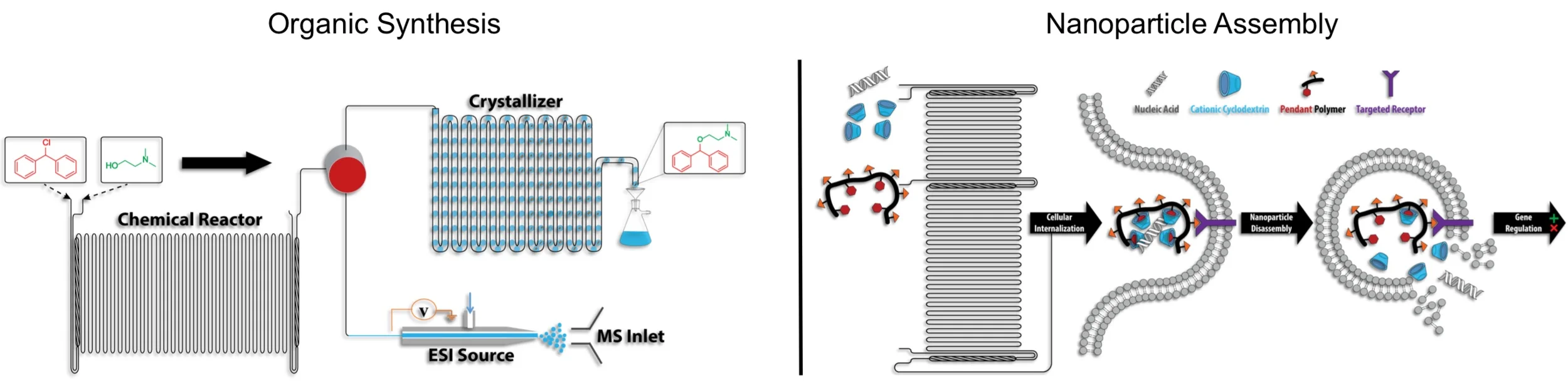 Continuous Flow Chemistry — David Thompson Group