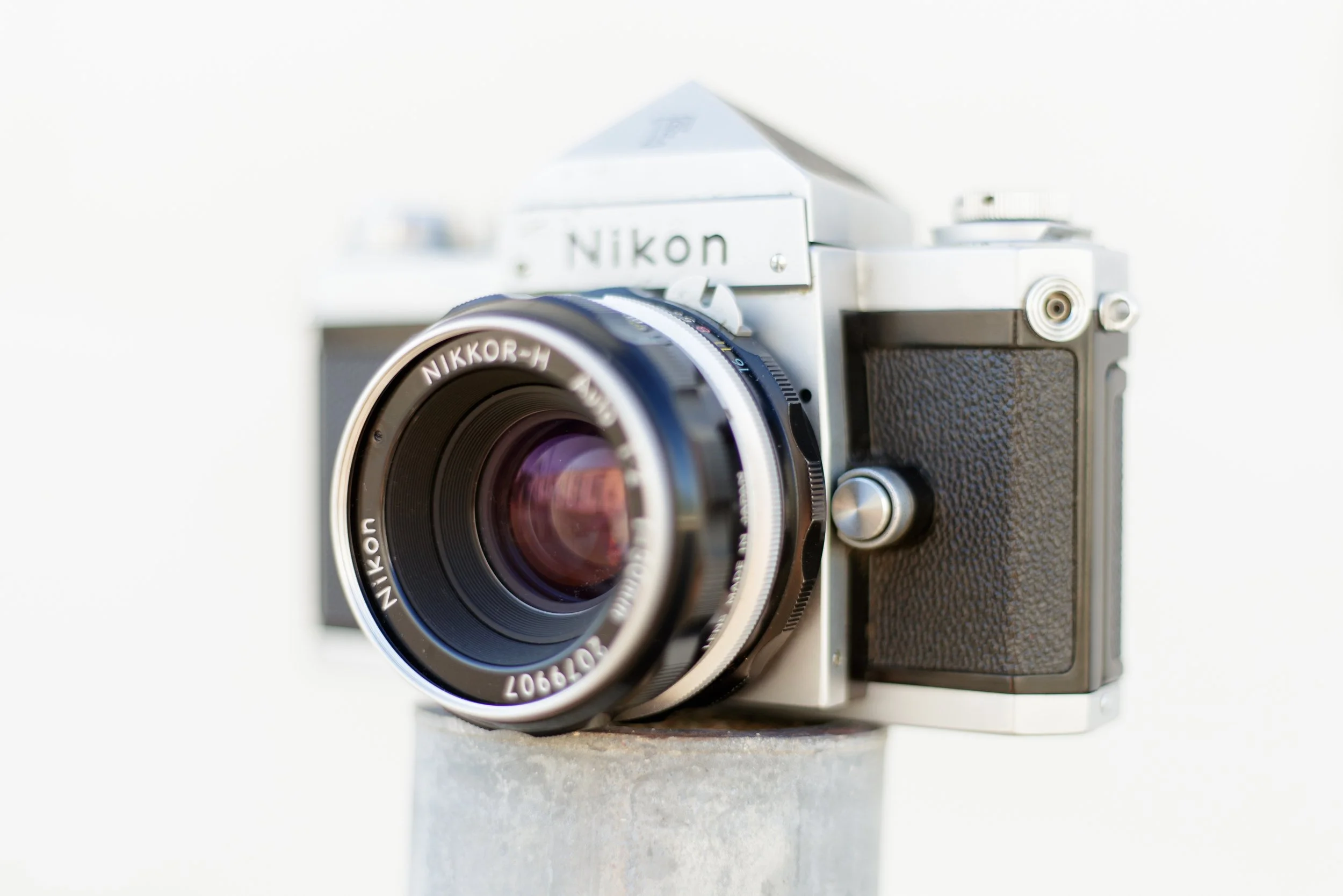 NikonF_6885693-5.jpg
