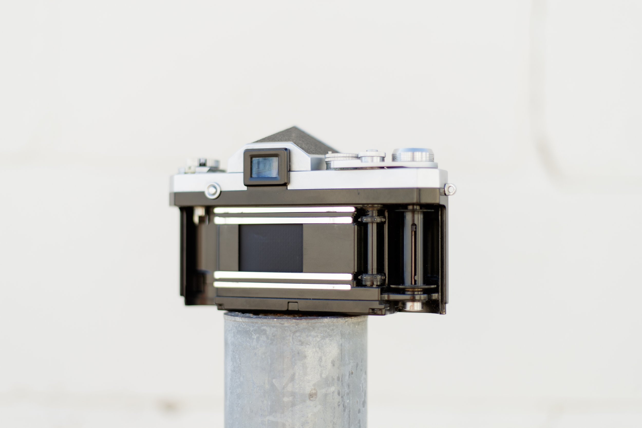 NikonF_6885693-8.jpg