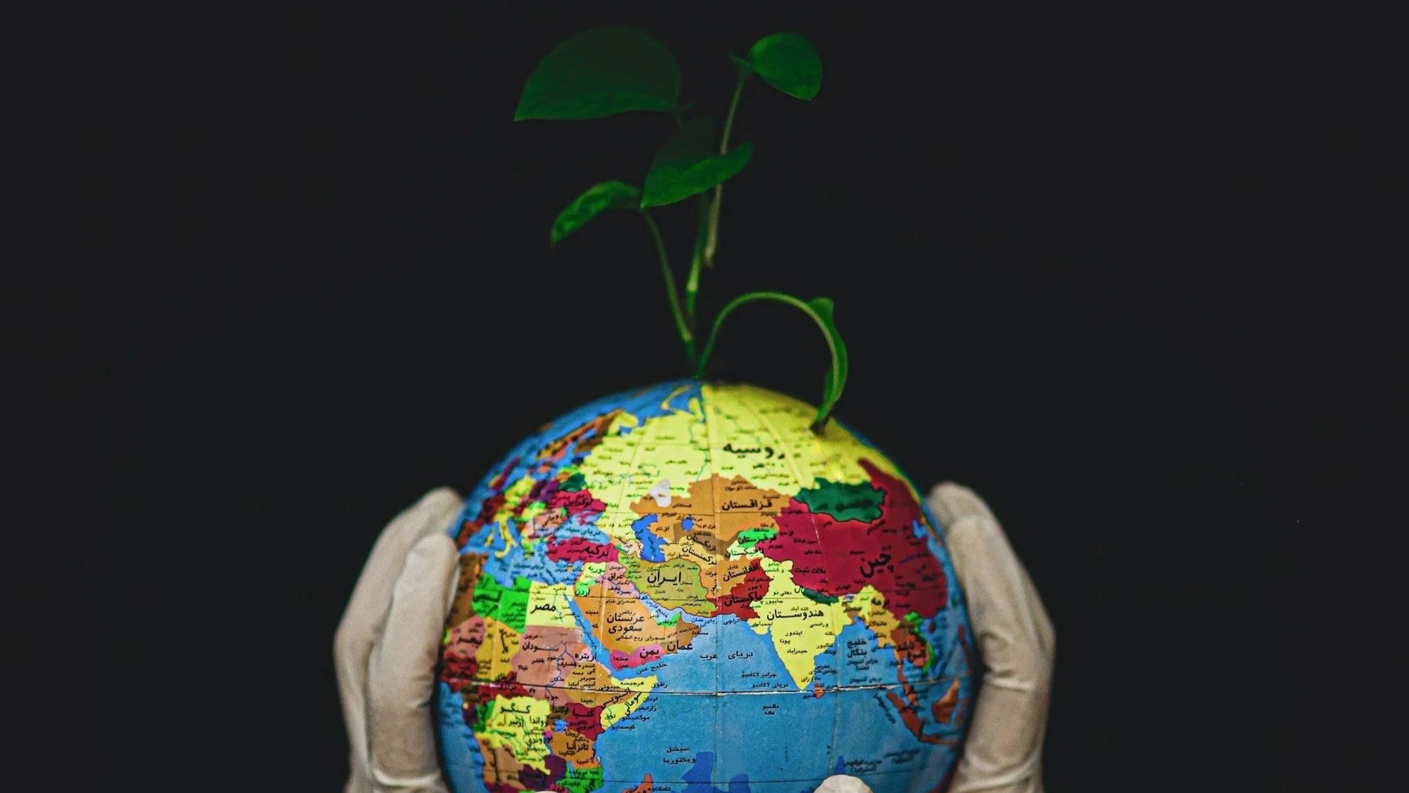 Westlake Village Homes Anna Lanuza (310) 295-8807