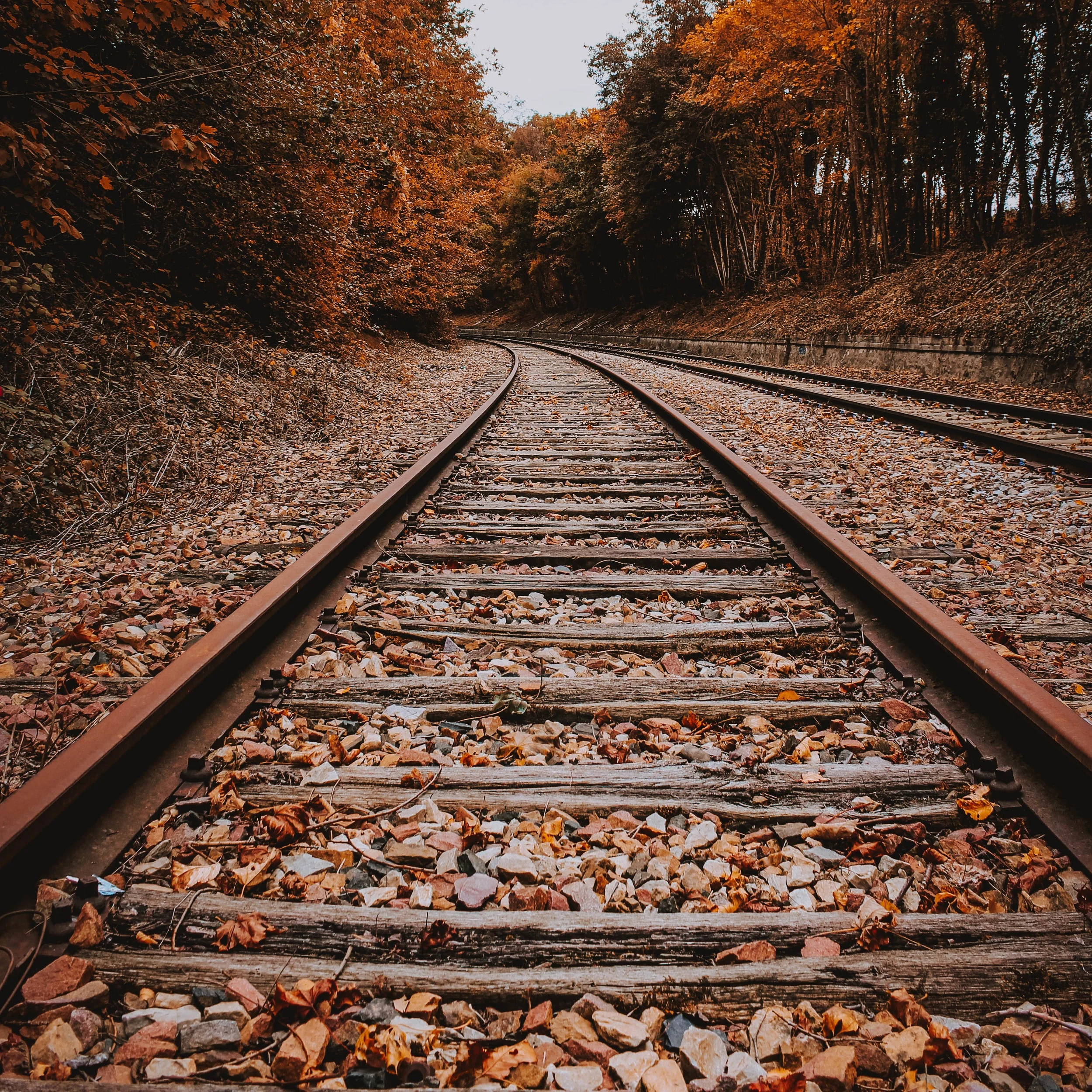 Keeping trustees on track