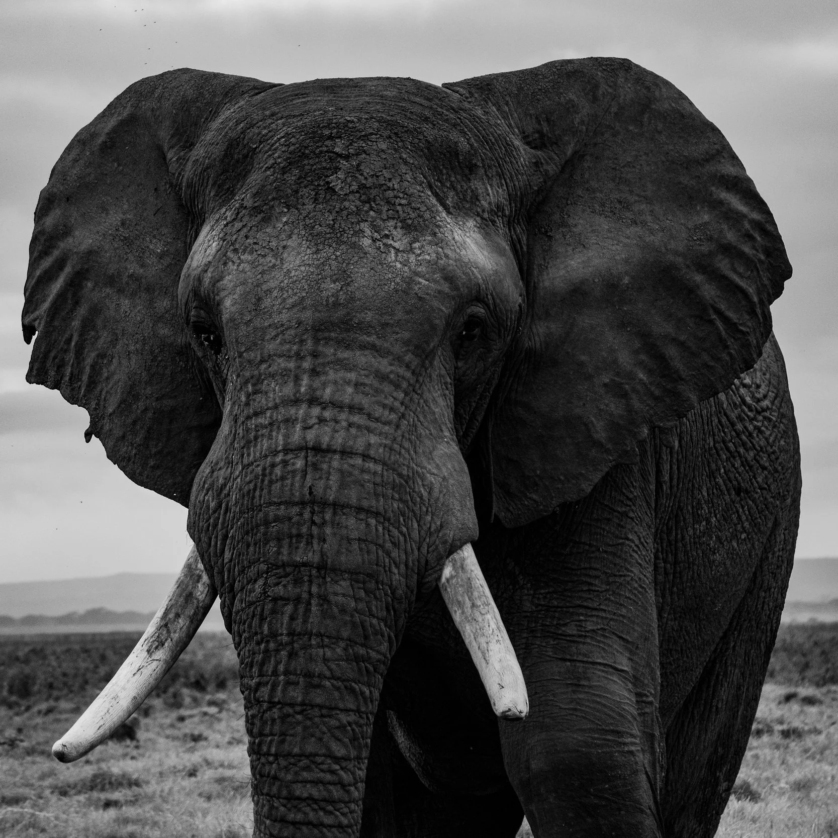 Reposition your trust service