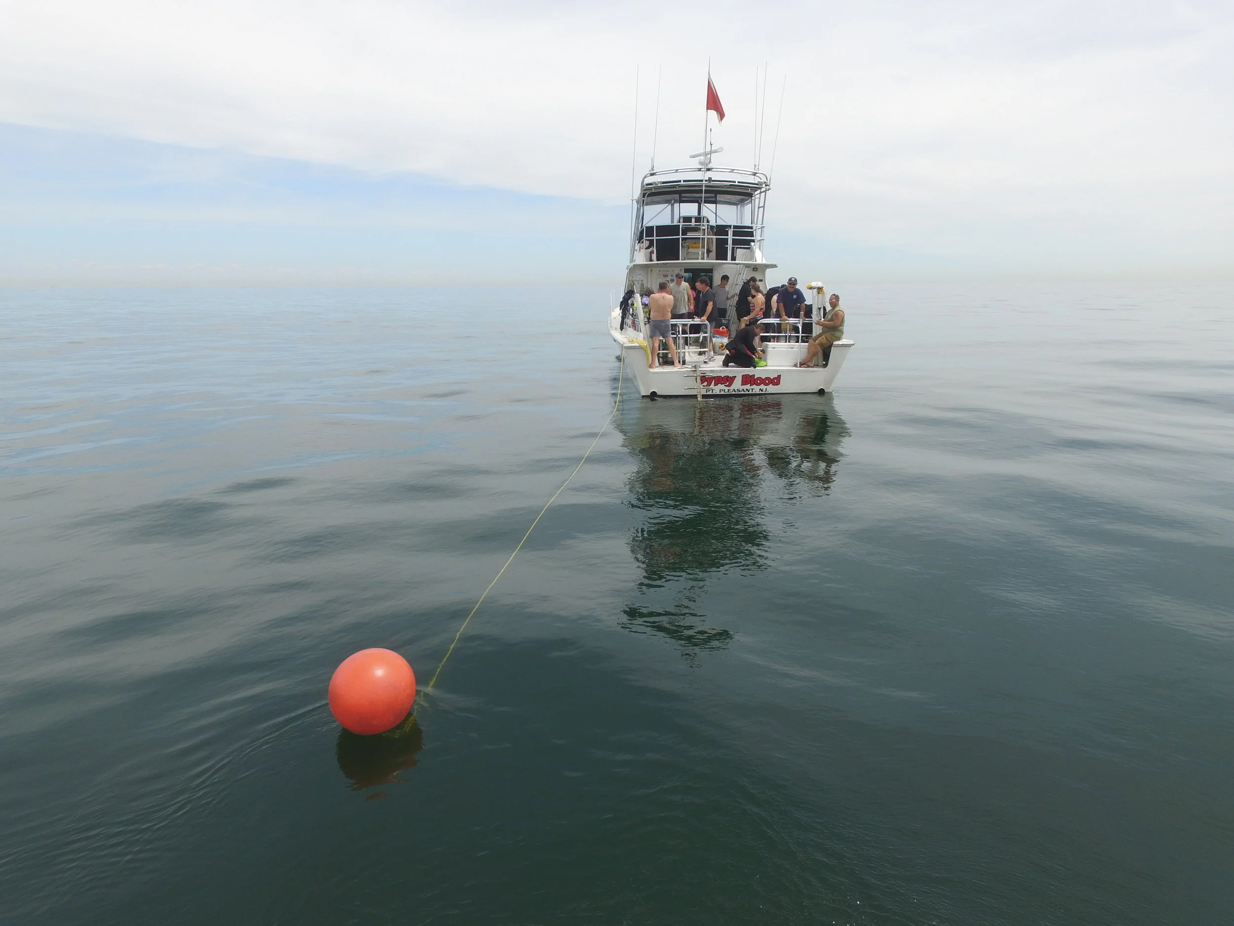 19706 Asfalto - Scubadelphia