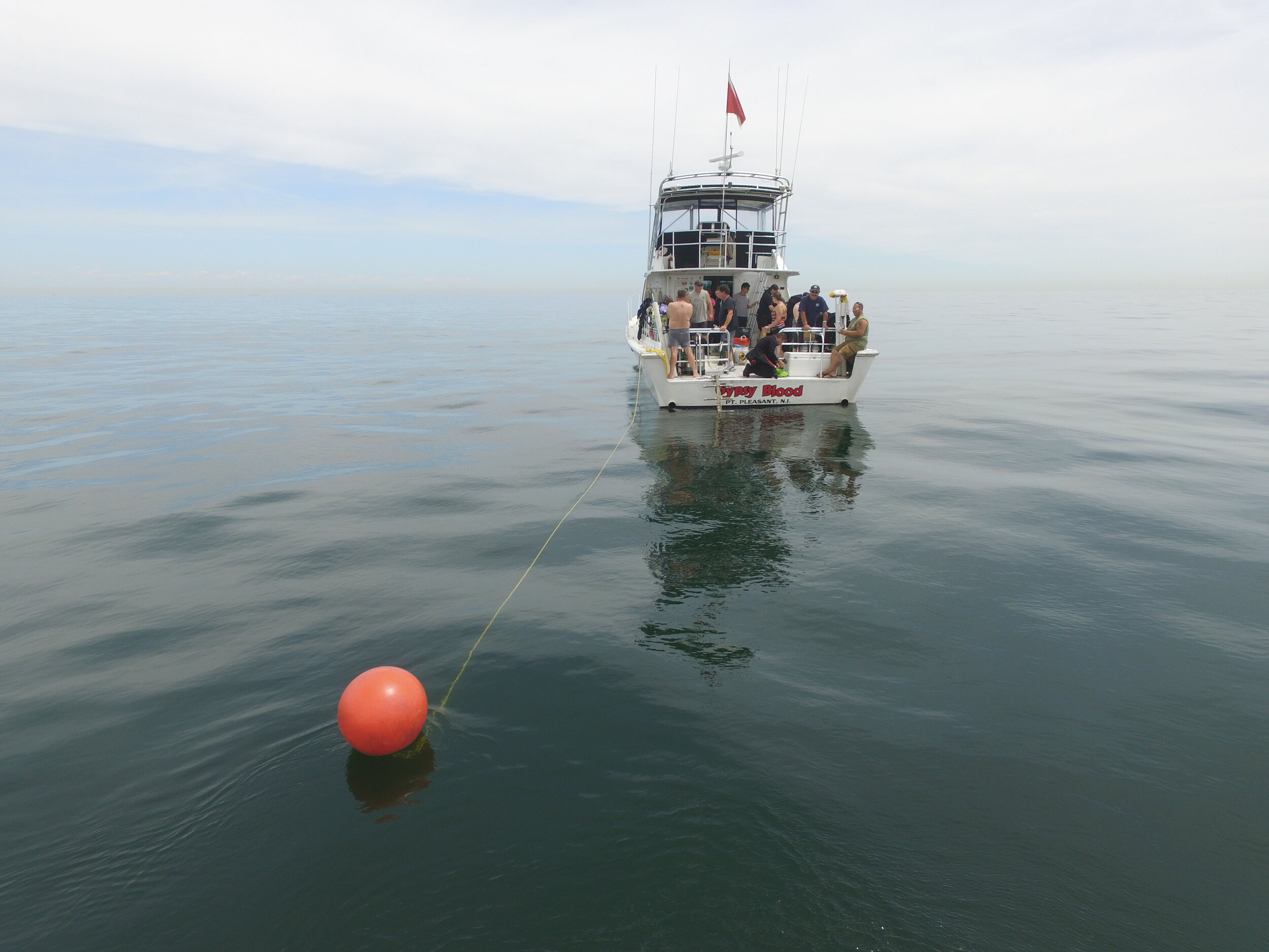 210814 Asfalto – Scubadelphia