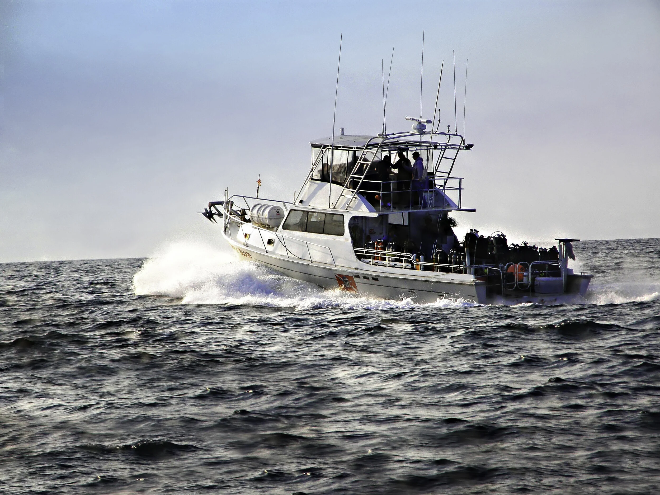 211114 Cancelled Asfalto – Gotham Divers/Gypsy Blood