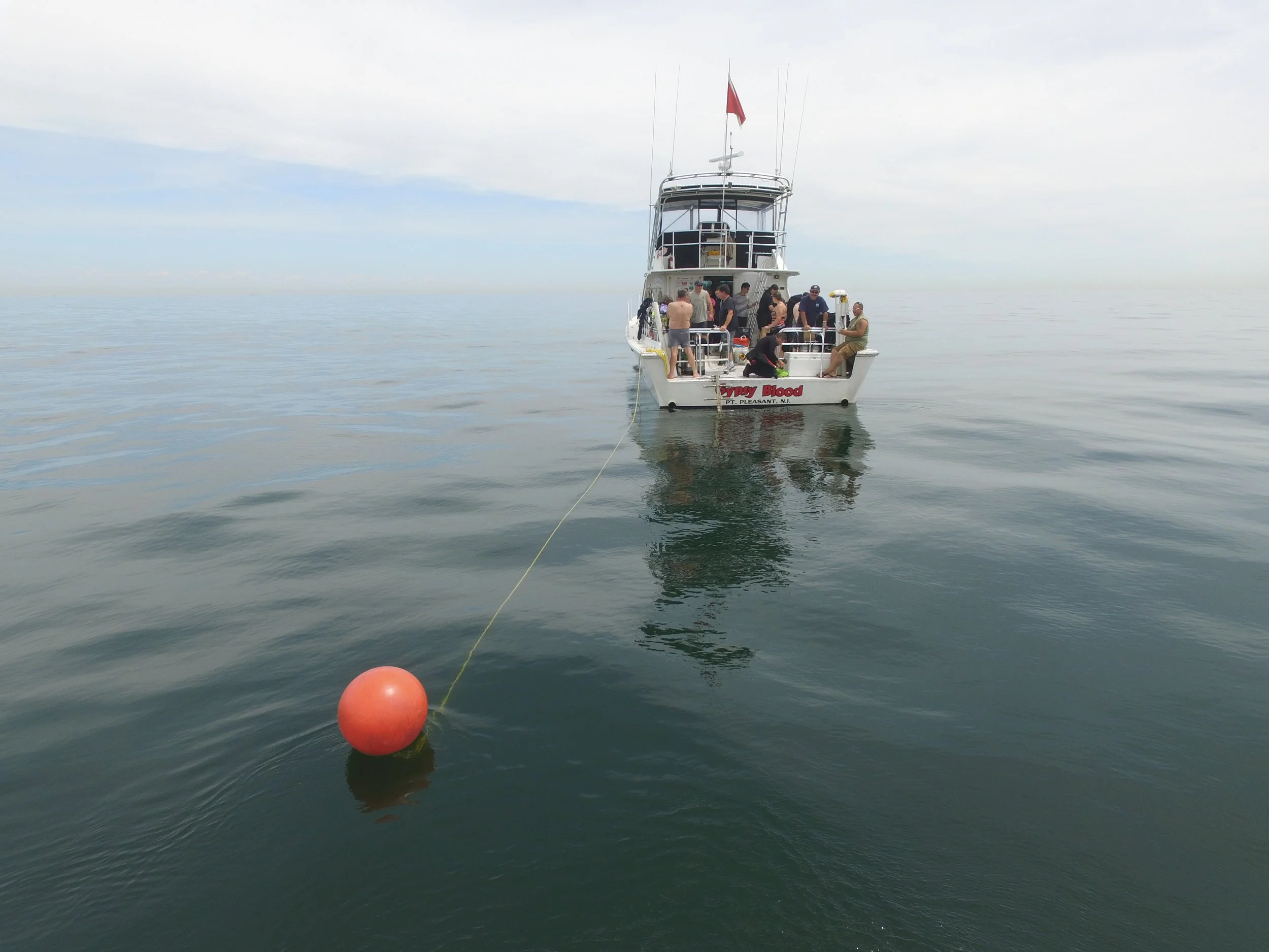 2022 New Year's Day Dive