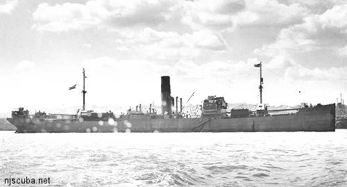 260530 Arundo - Gypsy Blood