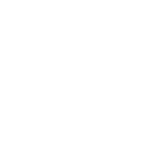 facebook-white.png