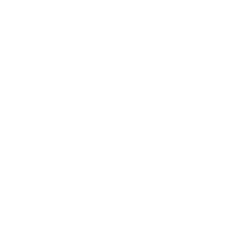 phone icon-white.png