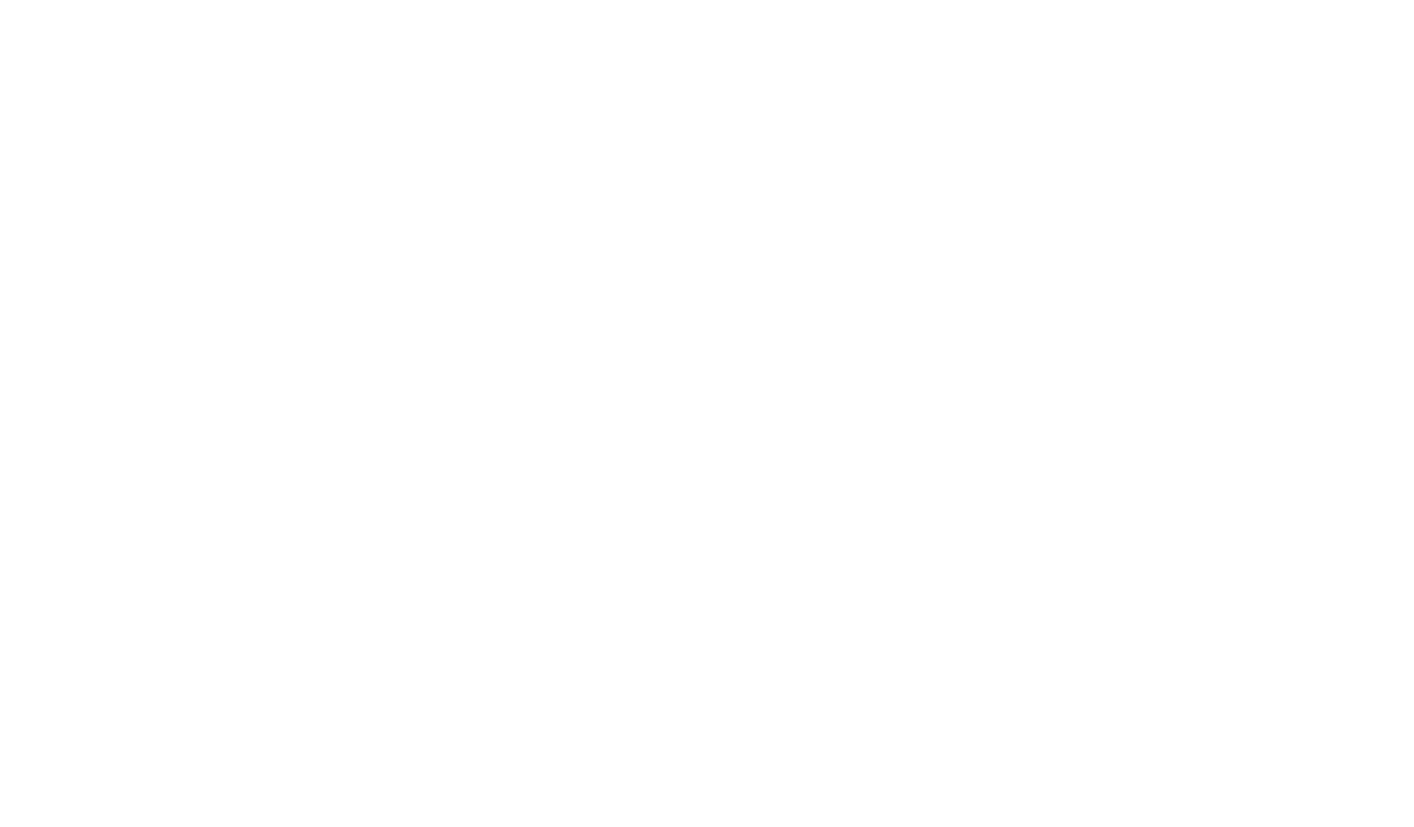 Laurel: Aya, screened at the Vital Voices Global Leadership Awards, Kennedy Center, 2024