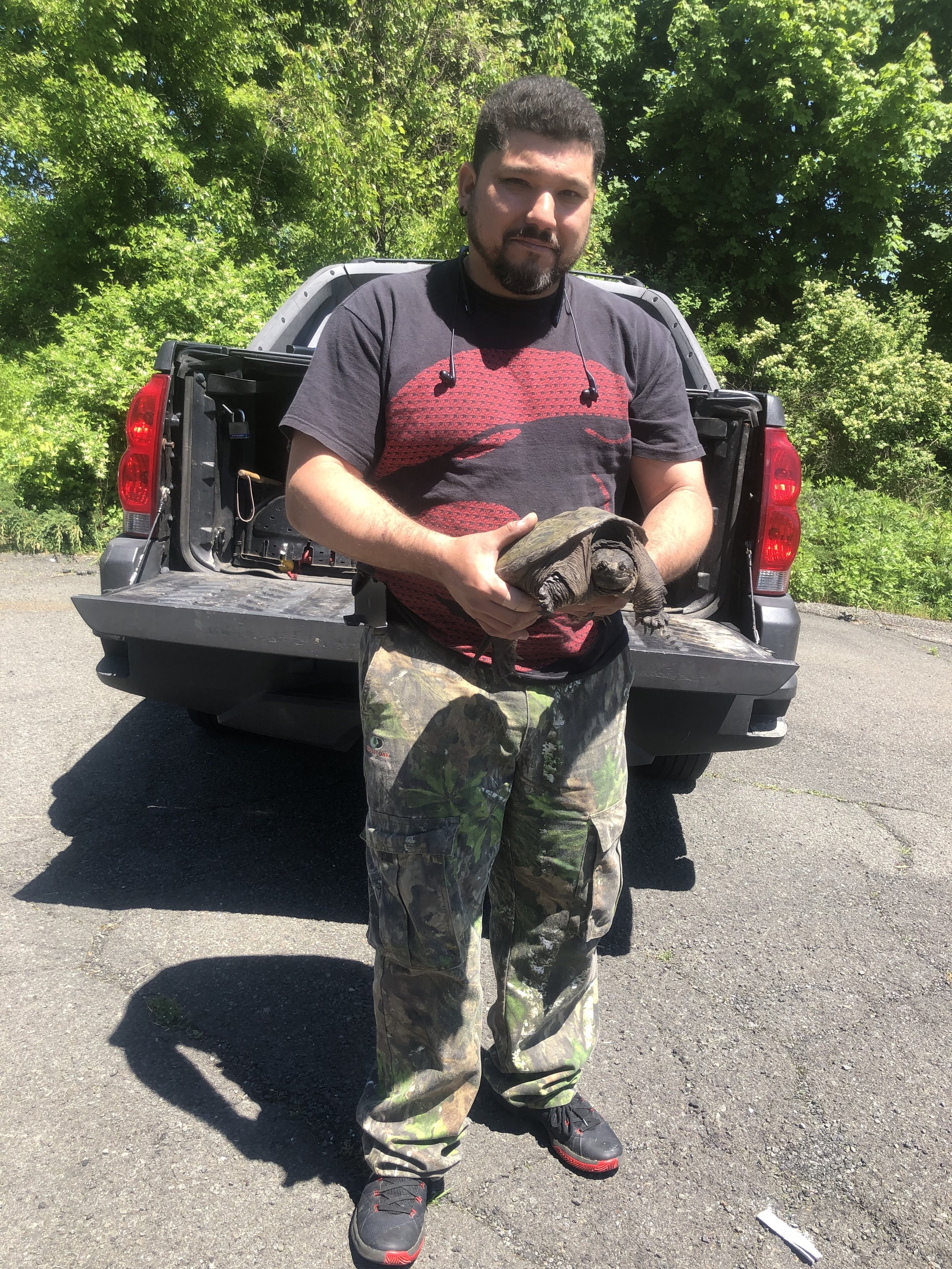 snapping turtle.jpeg