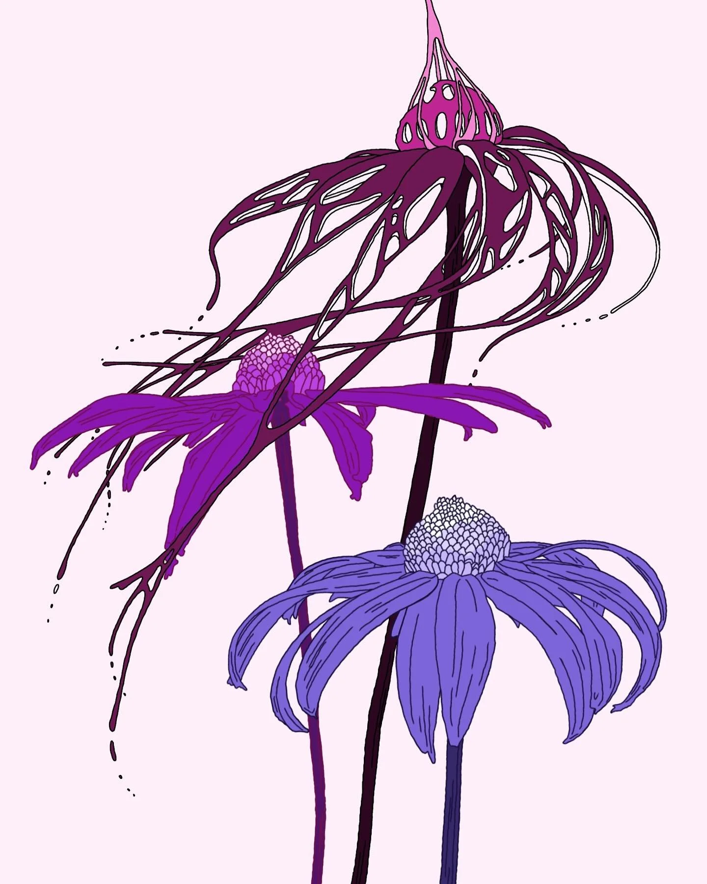Playing with coneflowers tonight

#procreate #digitaldrawing #flower #flowers #coneflower #digitalart