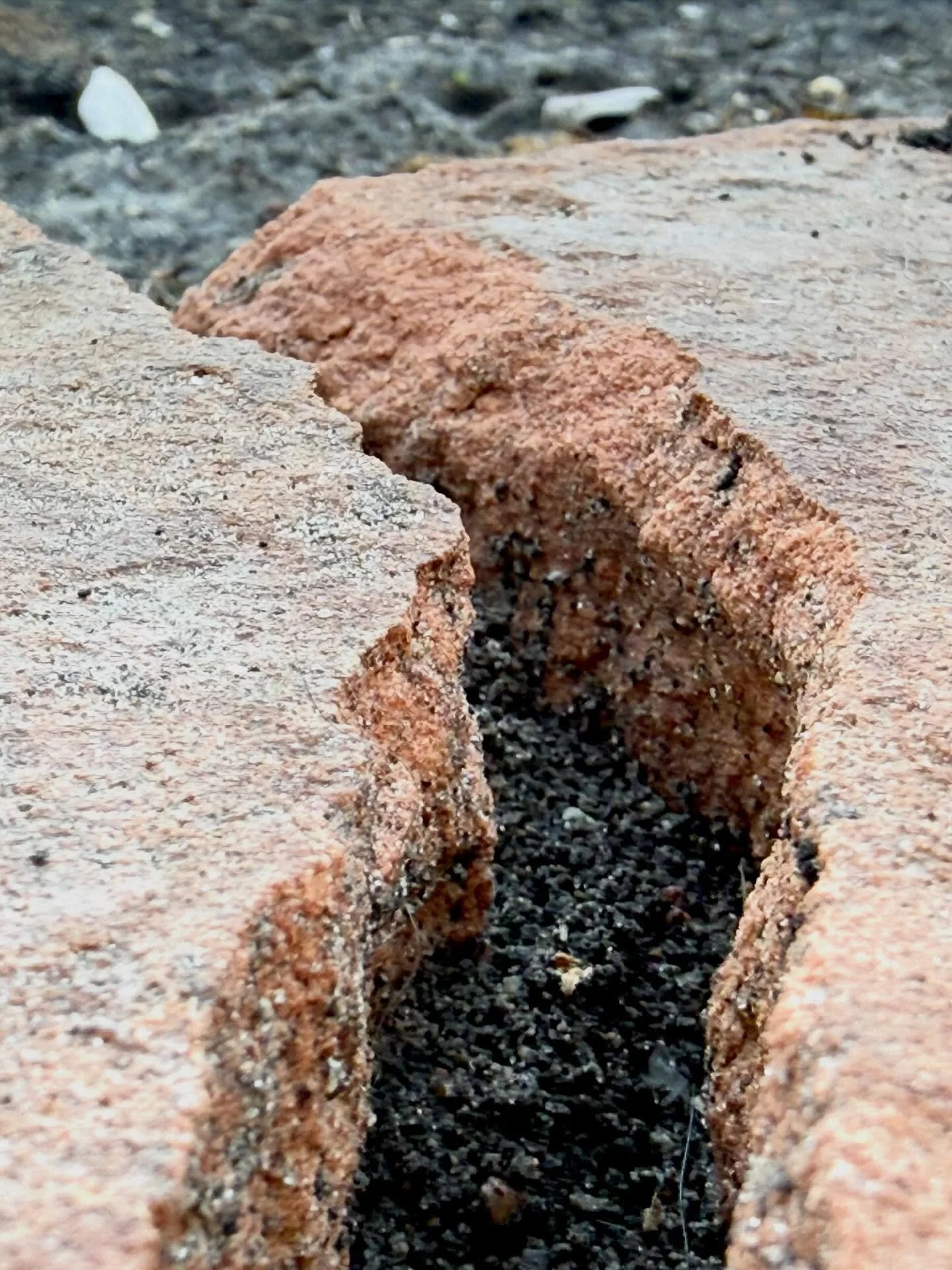 A few months ago I put three flat stones in this little spot by my front door. This was my solution to avoid muddy paws every time I take Penny for a walk.

A month ago I noticed a crack in the largest stone. I figured it was from repeated stepping o
