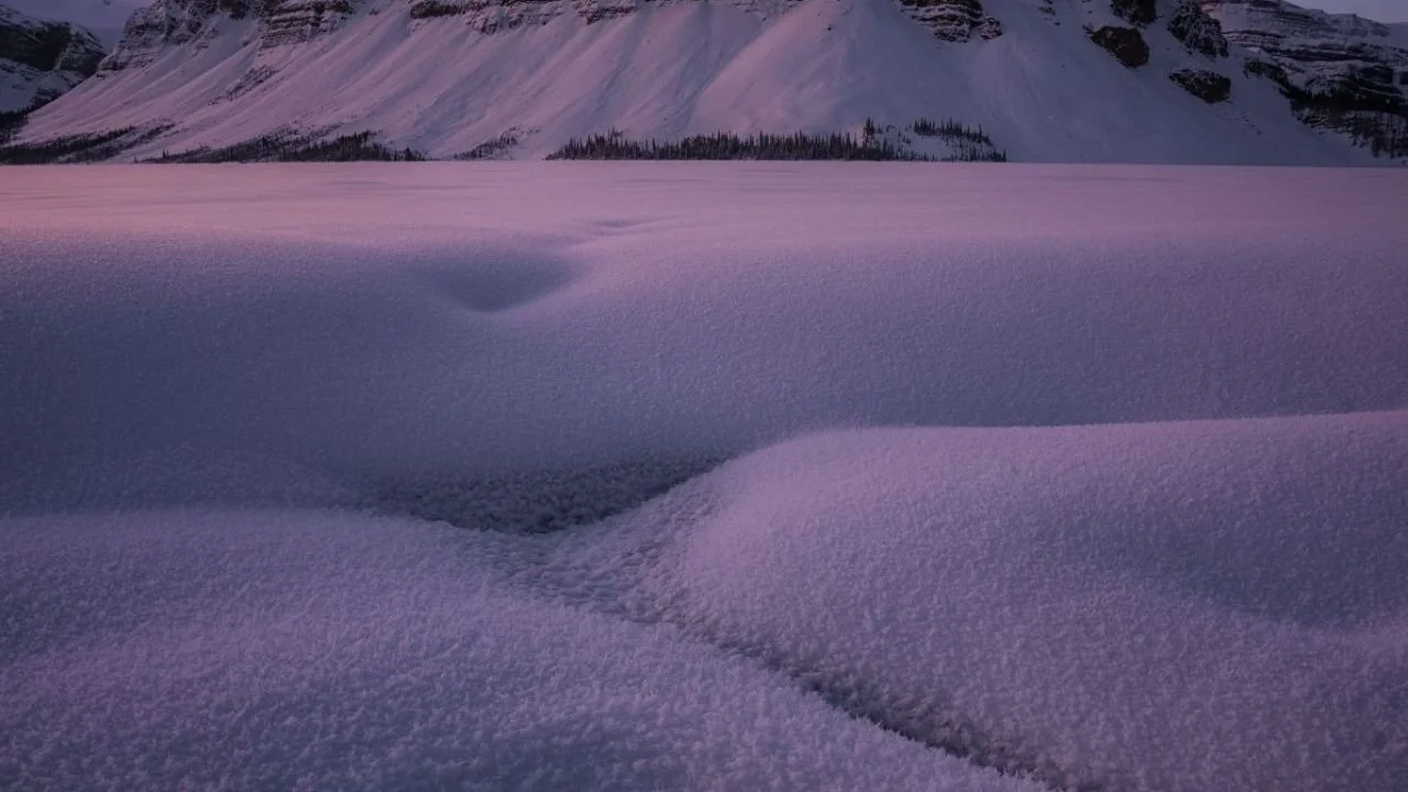 Snow-covered Bow Lake at winter twilight, with a rugged mountain peak rising beneath a soft purple and pink sky.