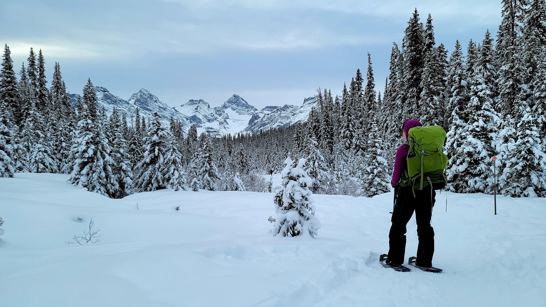 Snowshoeing in the Meiko wilderness - Out in the Nature