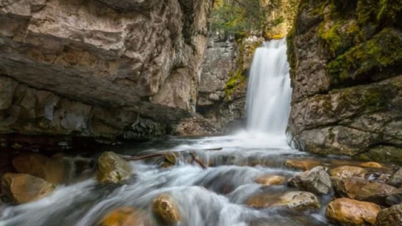 Troll Falls Hike Guide: 5 Reasons to Choose Guided Trips in Kananaskis