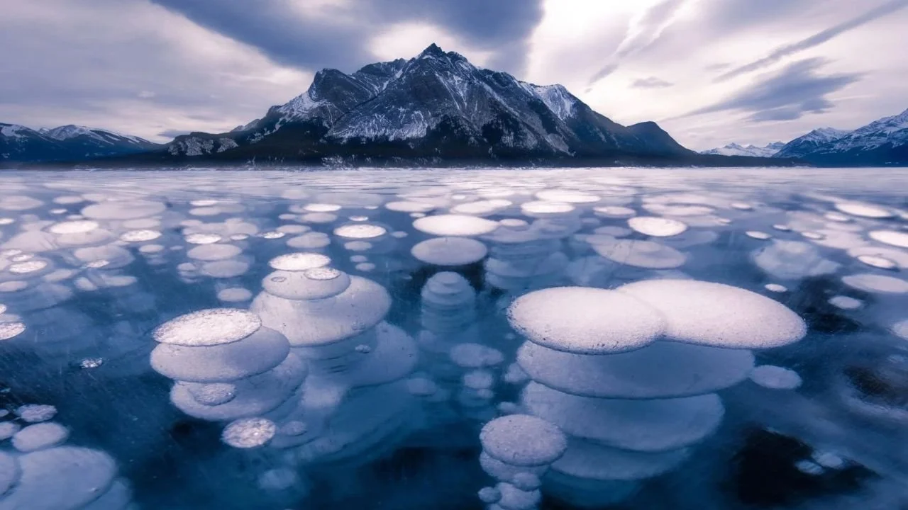 Best Time to See Abraham Lake Ice Bubbles: 5 Essential Tips