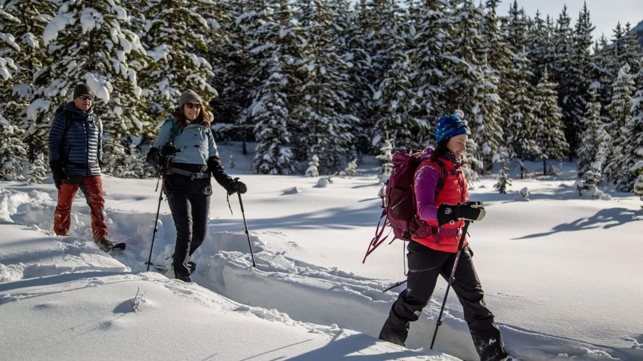 Snowshoeing Kananaskis: 5 Reasons to Book a Private Winter Tour