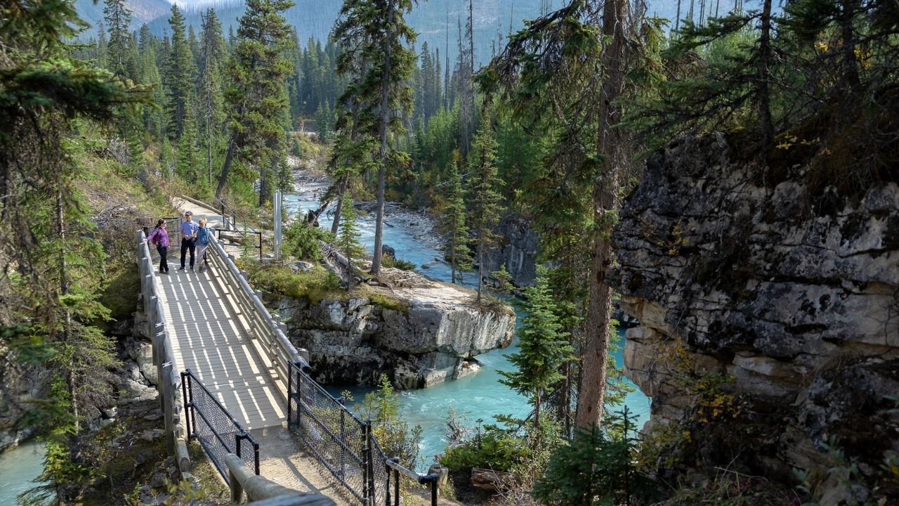 Visitors with a guide during a Lake Louise private tour. .