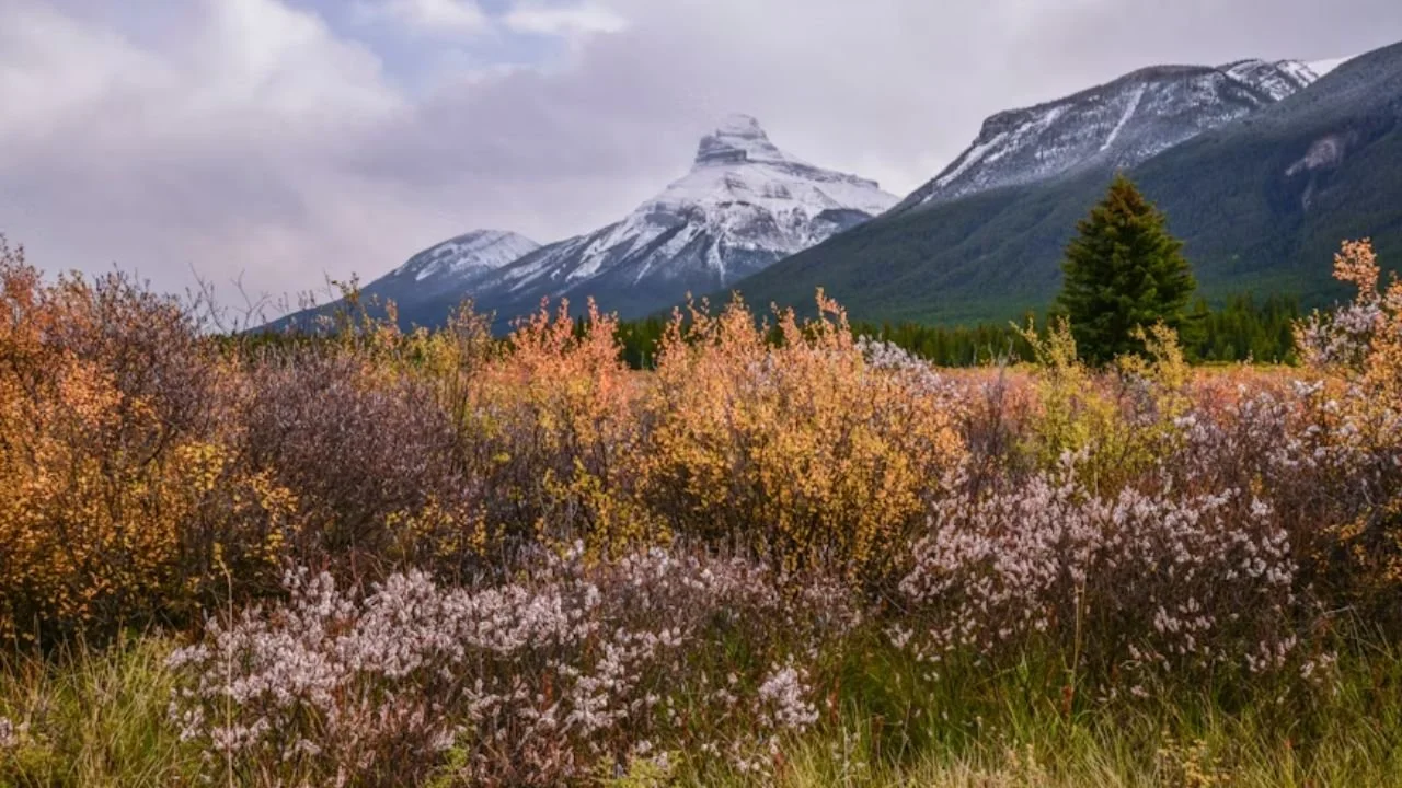 Autumn scene from Banff National Park, Canada, representing the best time to visit Banff.